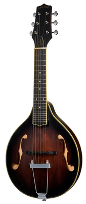 Gold Tone A-6 Mando Guitar TS