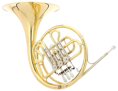 Hans Hoyer 702-L