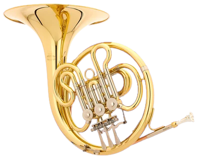 Bb French Horns