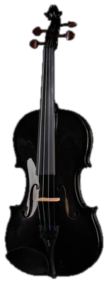 Stentor SR1401 Harlequin Violin 4/4 BK