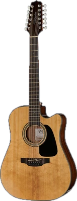 12-String Acoustic Guitars
