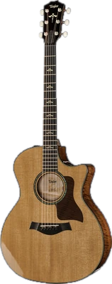 Premium Acoustic Guitars