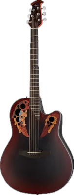Roundback Acoustic Guitars