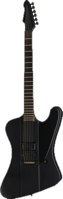 ESP LTD Phoenix Black Metal BLKS