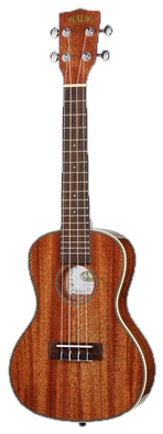 Kala KA-CG Mahogany Concert Ukulele