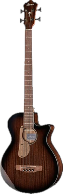 4-String Acoustic Basses