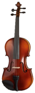 String Instruments