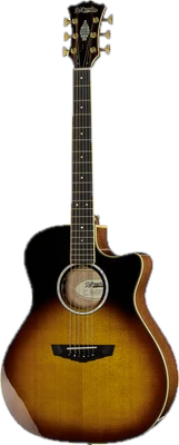 DAngelico Excel Gramercy Vintage Sunset