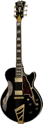 DAngelico Excel SS Solid Black