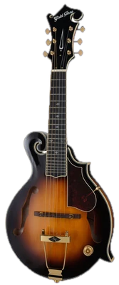 Mandolins