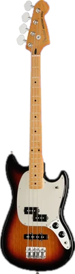 Short Scale Basses