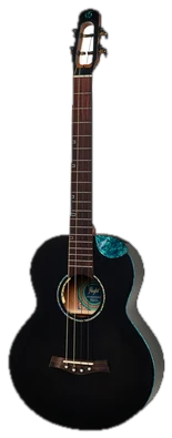 Flight Nighthawk Baritone EQ-A BK
