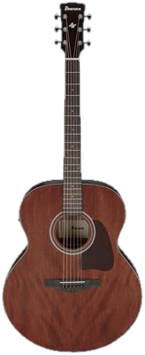 Ibanez AJ54E-OPN