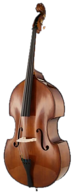 Stentor SR1438 Double Bass 1/2