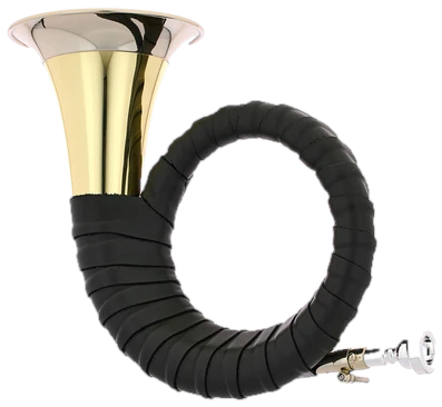 Fuerst Pless Horns