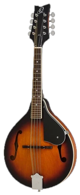 Ortega RMA31-WSB