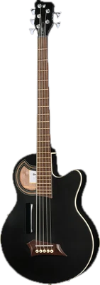 5-String Acoustic Basses