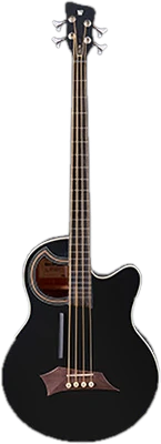 Fretless Acoustic Basses