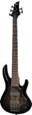 Electric Basses