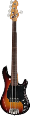 Fretless Basses