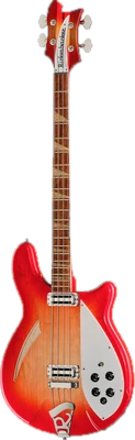 4-String Semi-Acoustic Basses