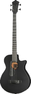 Ibanez AEGB420-BOT