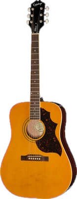 Epiphone Hummingbird Tribute AN