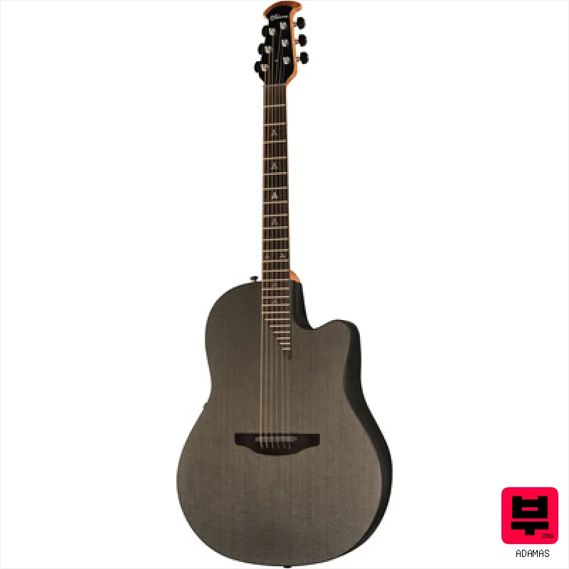 Acoustic Guitars