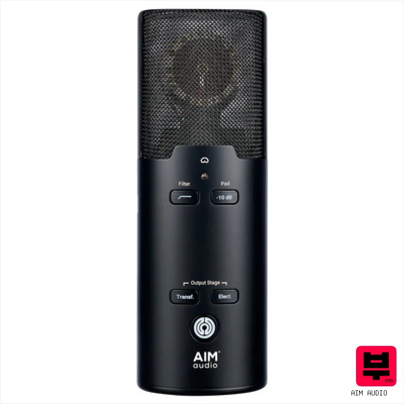 Large Diaphragm Microphones