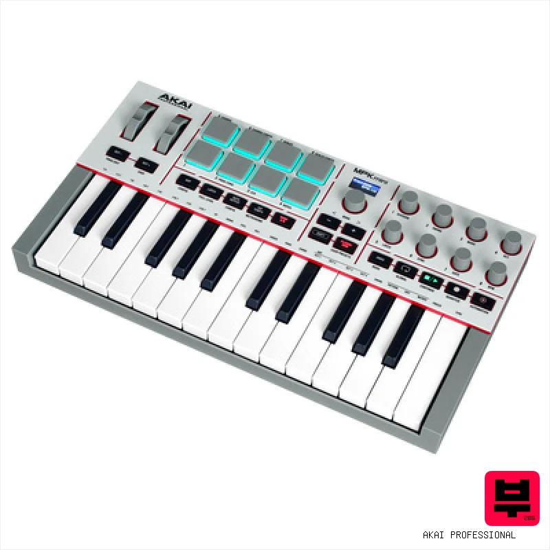 AKAI Professional MPK Mini IV Gray - Master Keyboards (up to 25 Keys)