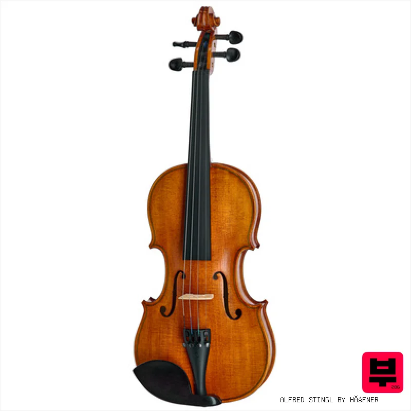 Alfred Stingl by Höfner AS-170-V Violin Set 4/4 - Professional Music Instrument Photo