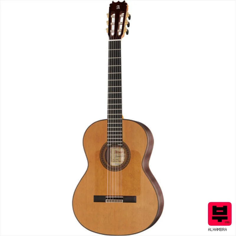 Alhambra 10 Fp Pinana Flamenco - Flamenco Guitars
