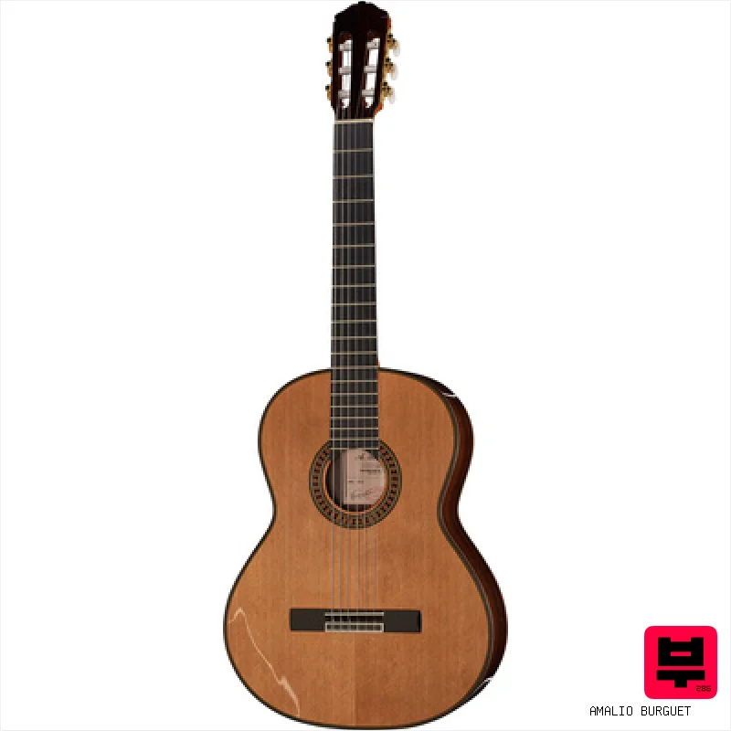 Amalio Burguet 2DV w/Case - 4/4 Size Classical Guitars