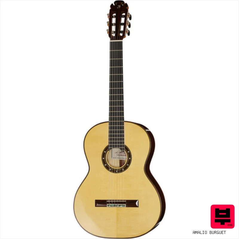 Amalio Burguet Aniversario Spruce w/ Case - Professional Music Instrument Photo