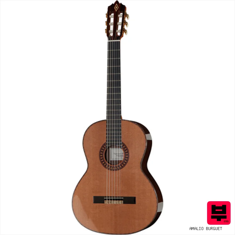 Amalio Burguet Vanessa Cedar w/Case - 4/4 Size Classical Guitars