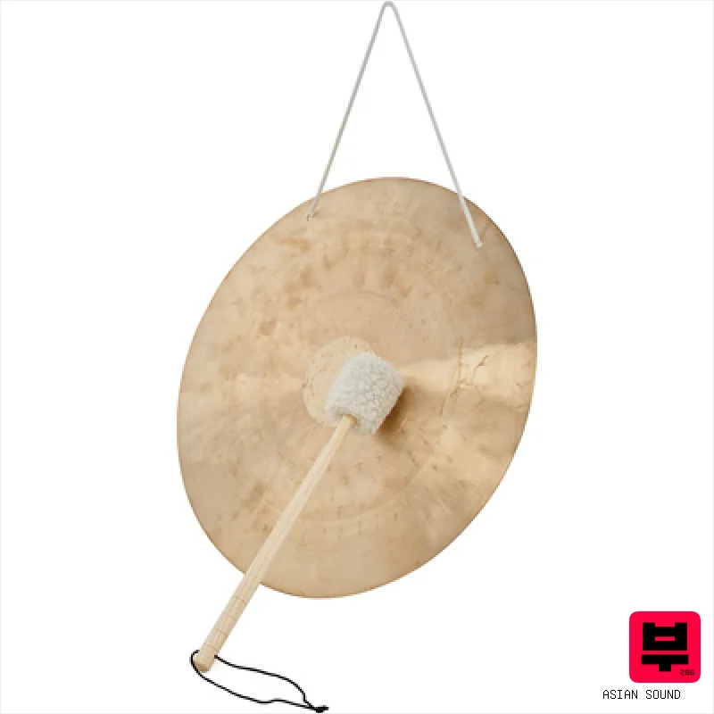 Asian Sound Tamtam TT-40 P - Gongs