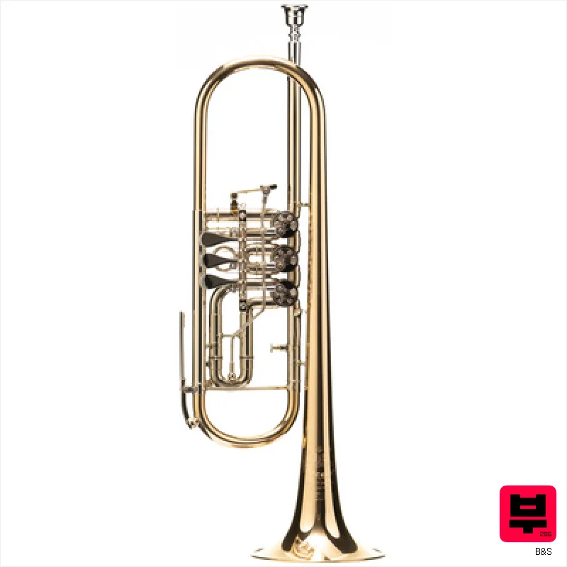 B&S 3006 AERA Bb-Trumpet - Professional Music Instrument Photo