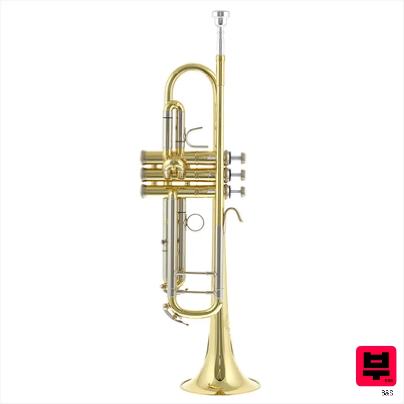 B&S 3143/2-L Challenger II L - Professional Music Instrument Photo