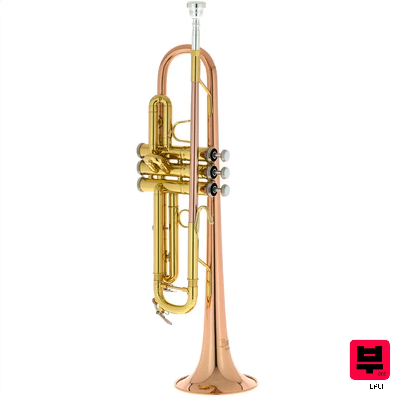 Bach TR-351G Bb-Trumpet - Bb Trumpets