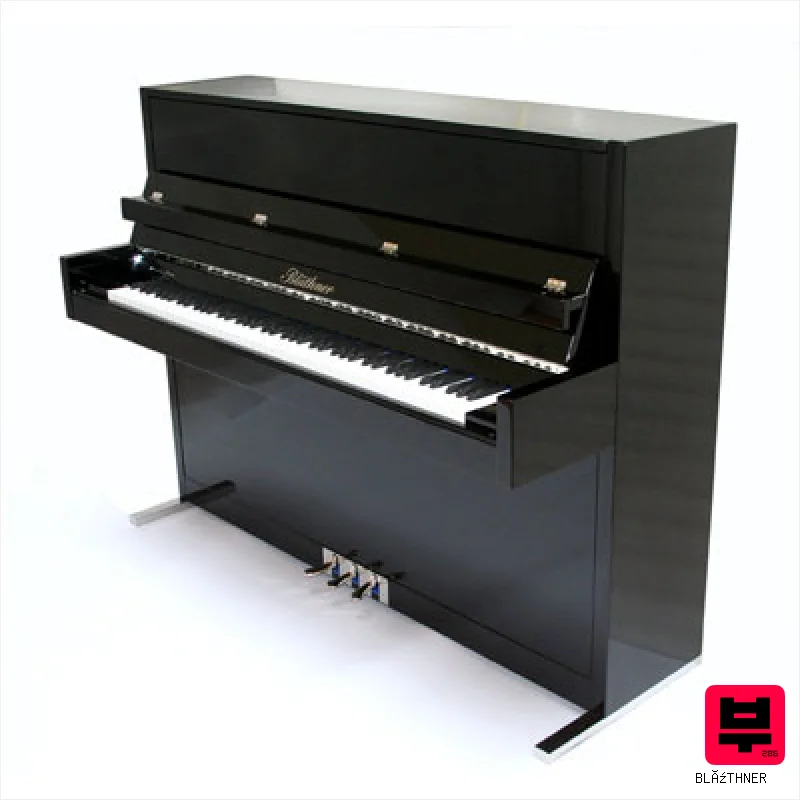 Blüthner Model D - Professional Music Instrument Photo