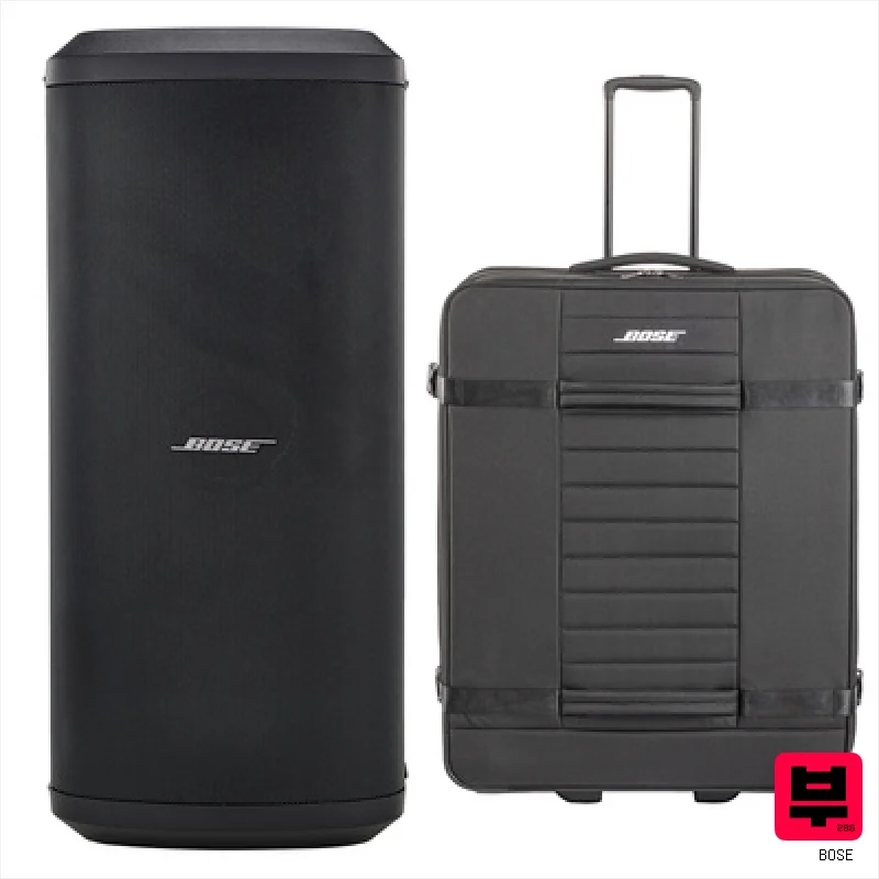 Bose SUB2 Bag Bundle - Professional Music Instrument Photo
