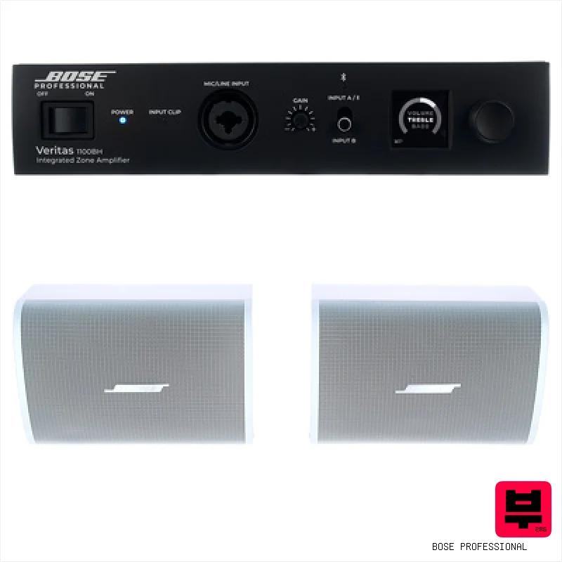 Bose Professional Veritas 1100BH/DM3SE W Bundle - Corporate and Restaurant PA Sets