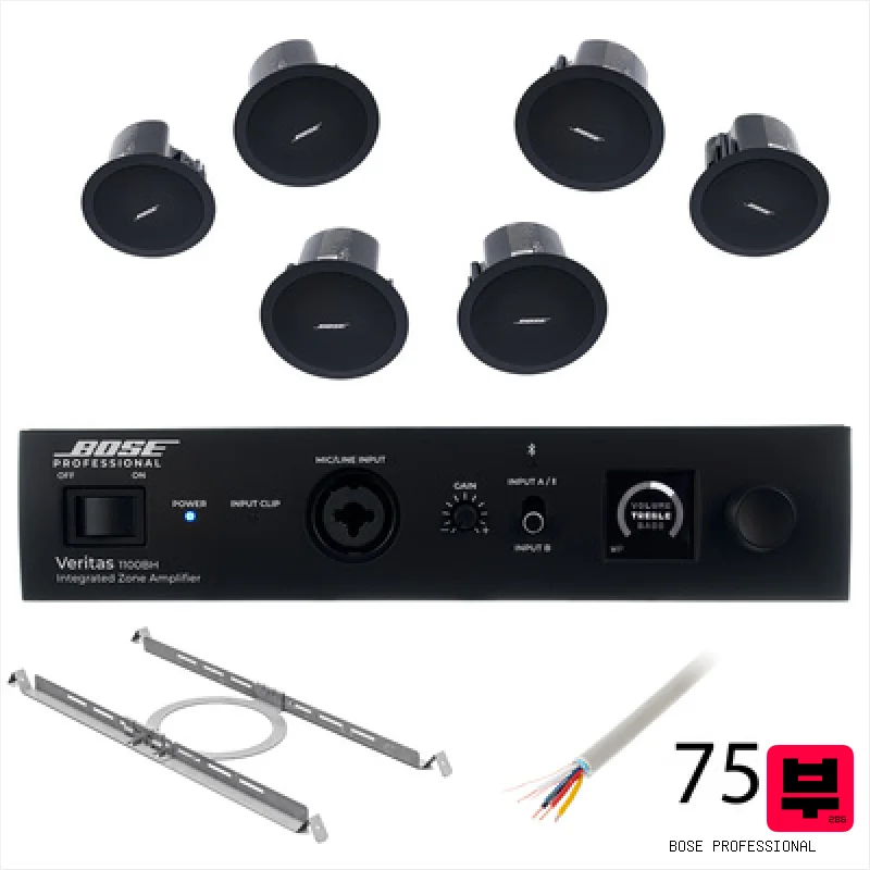 Bose Professional Veritas 1100BH/FS2C B Bundle - Corporate and Restaurant PA Sets