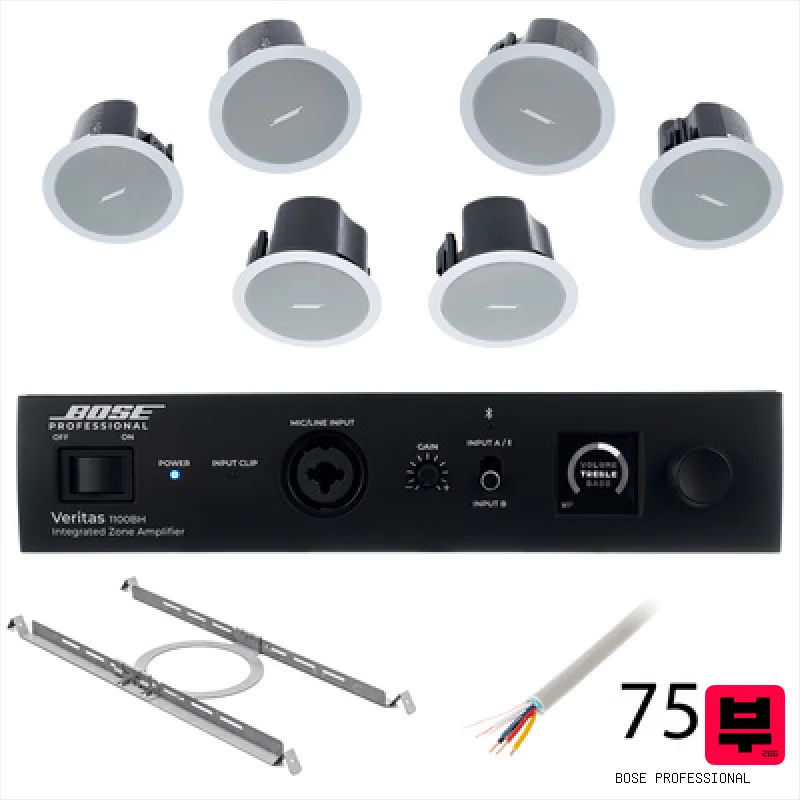 Bose Professional Veritas 1100BH/FS2C W Bundle - Corporate and Restaurant PA Sets