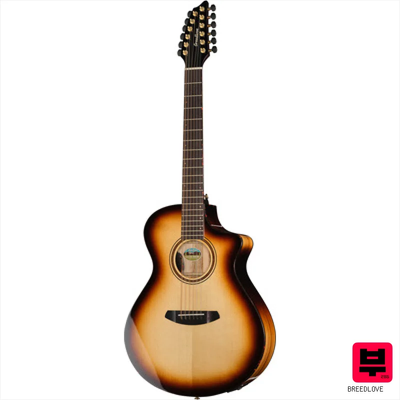 Breedlove Artista Pro Concert BA 12 CE W - 12-String Acoustic Guitars