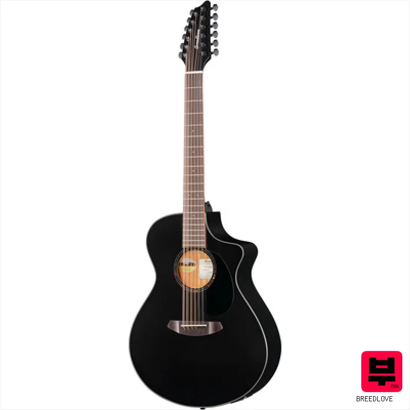 Breedlove Discovery S CN SAT. BLK DBL12 - 12-String Acoustic Guitars