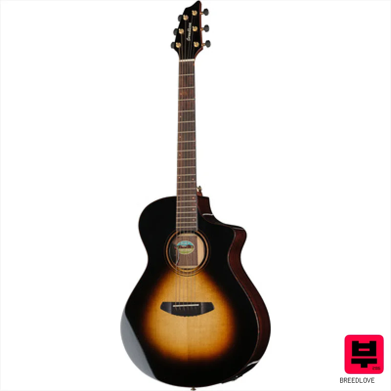 Breedlove Performer Pro Concert T CE(IR) - Miscellaneous Acoustic Guitars