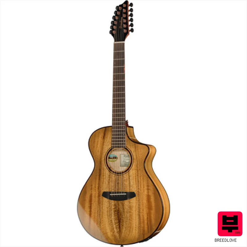 Breedlove Pursuit EX S Concert SW 12 - 12-String Acoustic Guitars