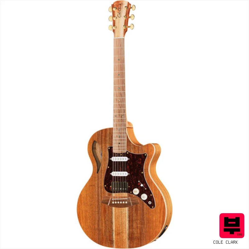Cole Clark AN2EC-BLBL-HSS - Miscellaneous Acoustic Guitars