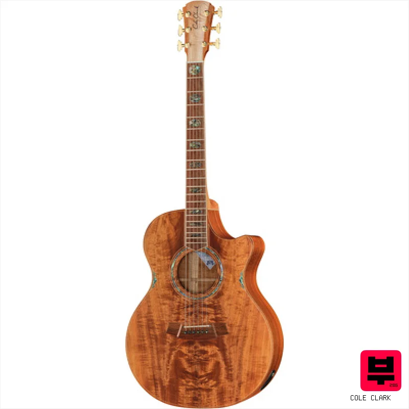 Cole Clark AN3EC-BLBL-AE - Professional Music Instrument Photo